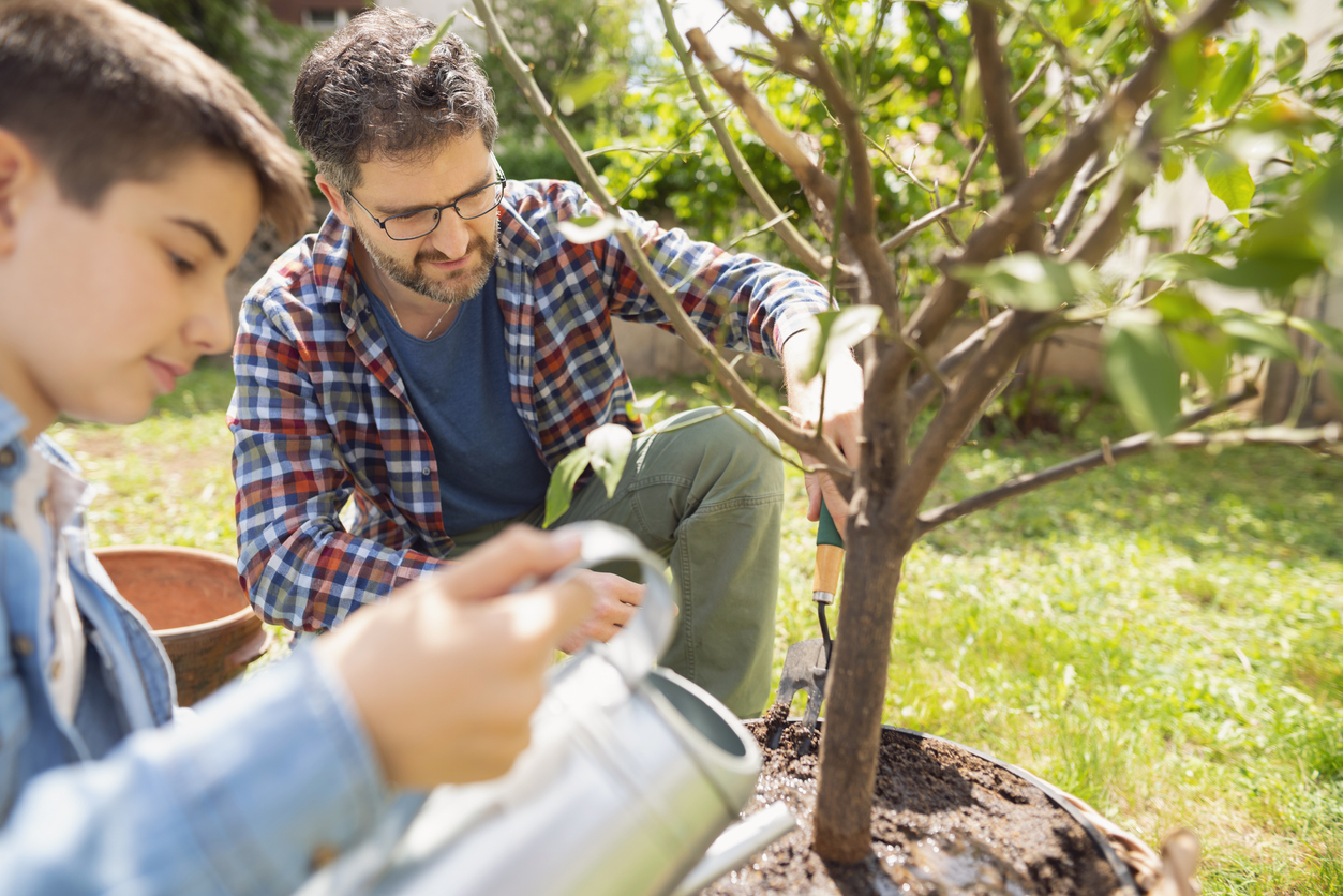 Vater und Kind pflanzen gemeinsam einen Baum als Symbol für vorausschauende Vorsorge